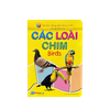  Combo 10 cuốn Bé học TA bằng hình 