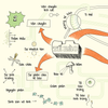  Sơ Đồ Tư Duy Sinh Học - Min Map Biology 