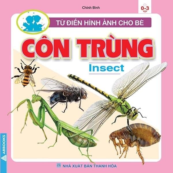  Từ điển Hình ảnh cho Bé - Côn Trùng ( Insect) 