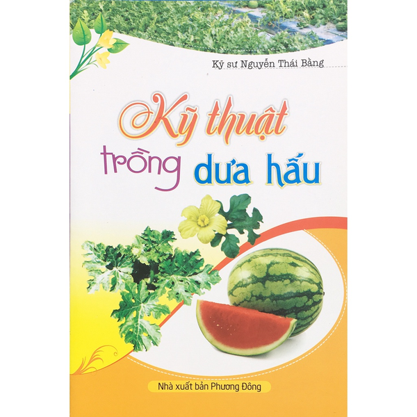  Kỹ Thuật Trồng Dưa Hấu 