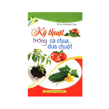  Kỹ Thuật Trồng Cà Chua, Dưa Chuột 