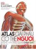  Atlas Giải Phẫu Cơ Thể Người 