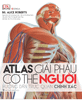  Atlas Giải Phẫu Cơ Thể Người 