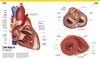  Atlas Giải Phẫu Cơ Thể Người 