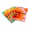  Bìa Giấy Màu Sunflower A4 - 180 Gsm - Xấp 100 Tờ 