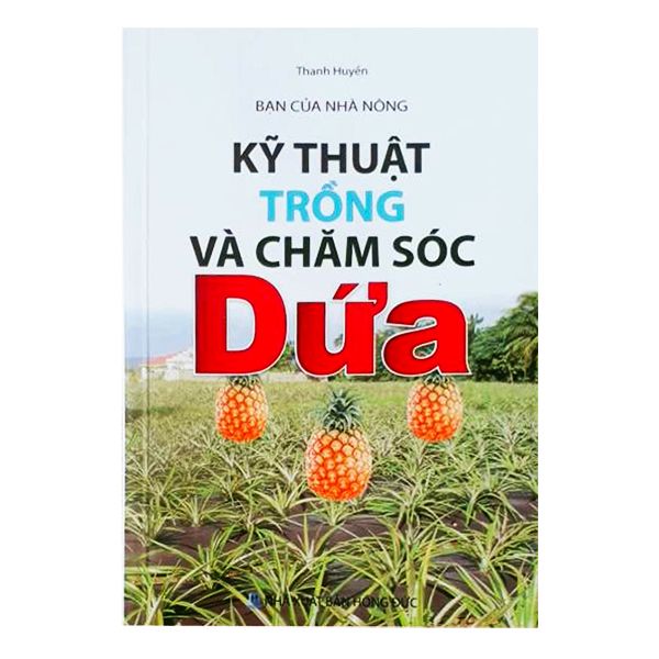  Bạn Của Nhà Nông - Kỹ Thuật Trồng Và Chăm Sóc Dứa 