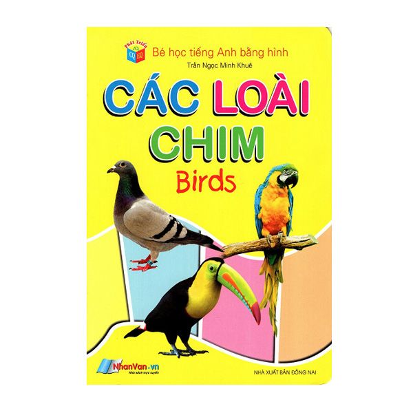  Bé Học Tiếng Anh Bằng Hình - Các Loài Chim 