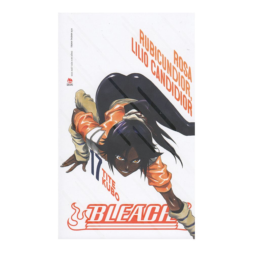  Bleach - Tập 17 