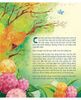 Cái Tai Và Cuộc Phiêu Lưu Kỳ Thú 