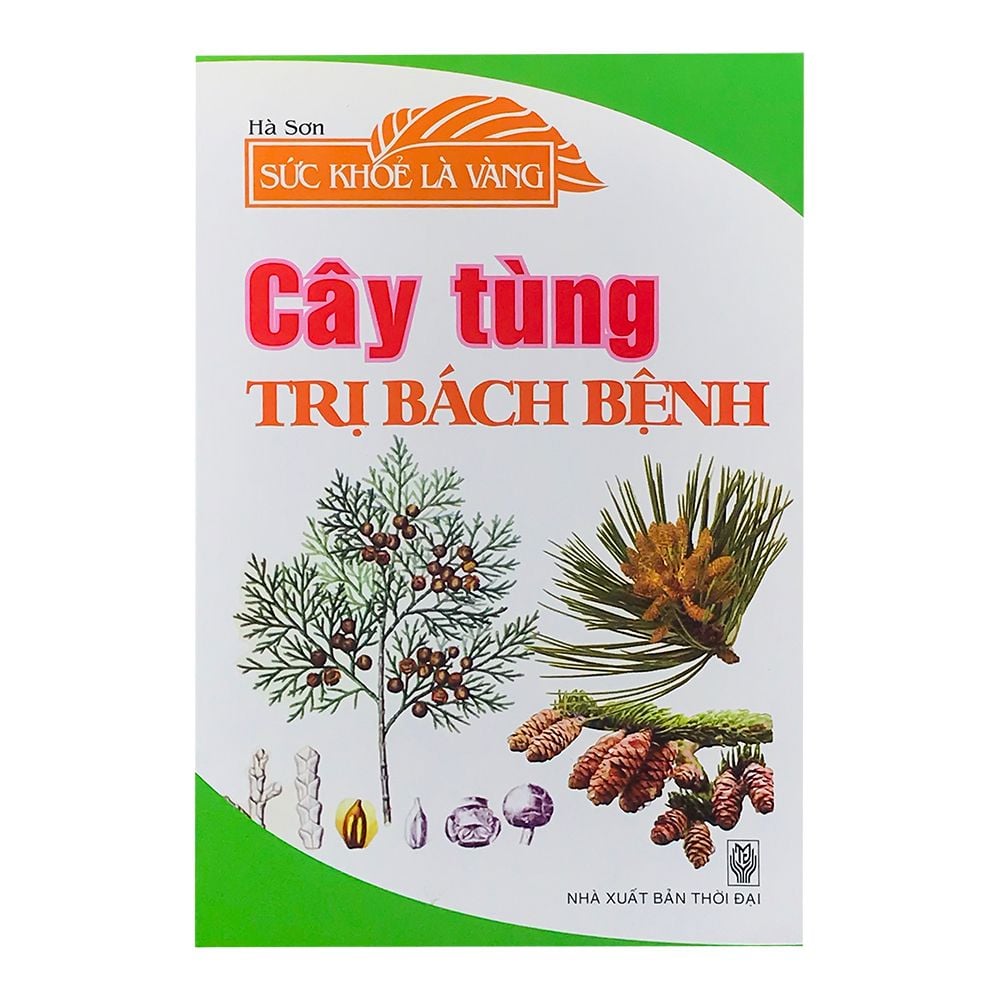  Cây Tùng Trị Bách Bệnh 