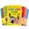 Combo 10 cuốn Bé học TA bằng hình