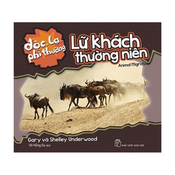  Độc Lạ Phi Thường - Lữ Khách Thường Niên 