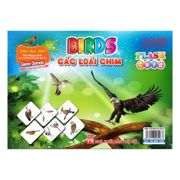  Flashcard Dạy Trẻ Theo Phương Pháp Glenn Doman - Các Loài Chim 