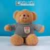  Gấu Bông Kể Chuyện Song Ngữ Anh Việt - Người Bạn Tâm Tình Của Bé (Kết Nối Được Bluetooth) 