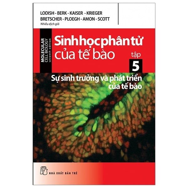  Sinh Học Phân Tử Của Tế Bào 05 - Sự Sinh Trưởng & Phát Triển Của Tế Bào 