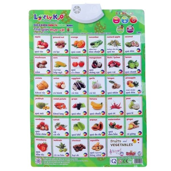 Bảng Điện Tử Thông Minh - Thế Giới Thực Vật