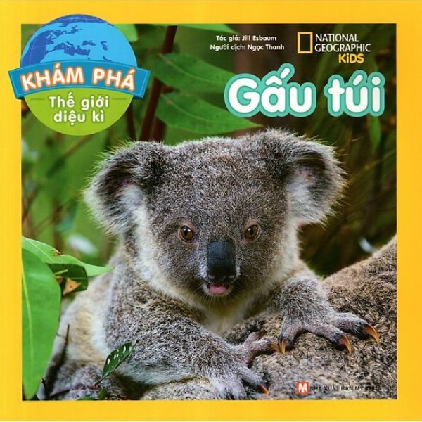  Khám Phá Thế Giới Diệu Kì - Gấu Túi 