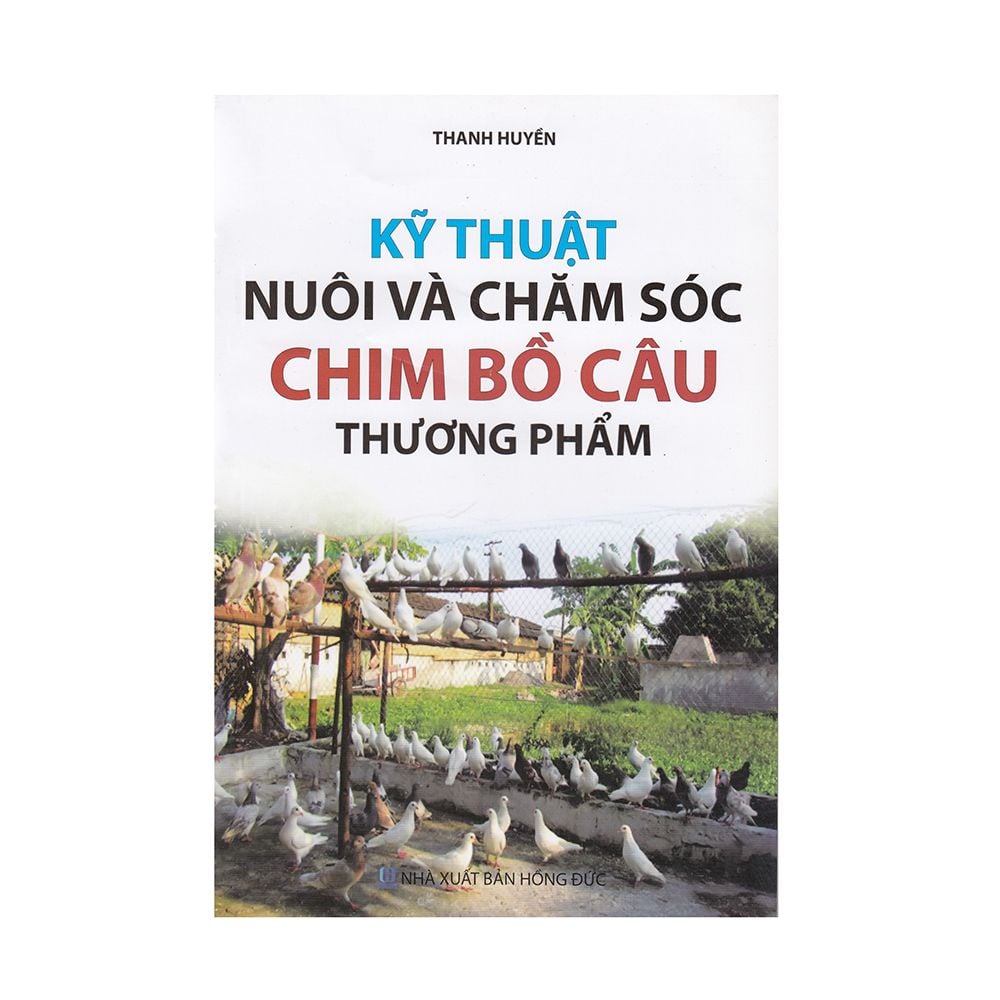  Kỹ Thuật Nuôi Và Chăm Sóc Chim Bồ Câu Thương Phẩm 