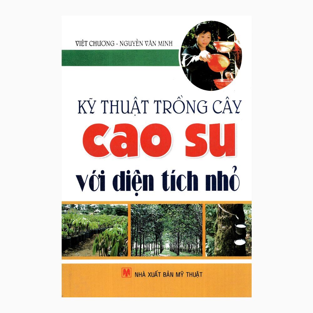  Kỹ Thuật Trồng Cây Cao Su Với Diện Tích Nhỏ 