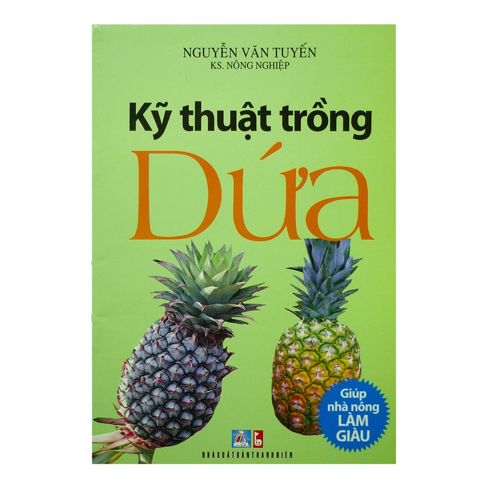  Kỹ Thuật Trồng Dứa 