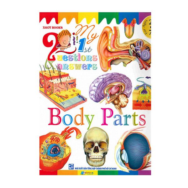  My First Questions & Answers - Body Parts 