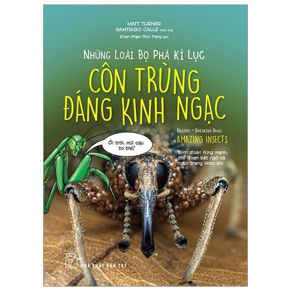  Những Loài Bọ Phá Kỷ Lục - Côn Trùng Đáng Kinh Ngạc 