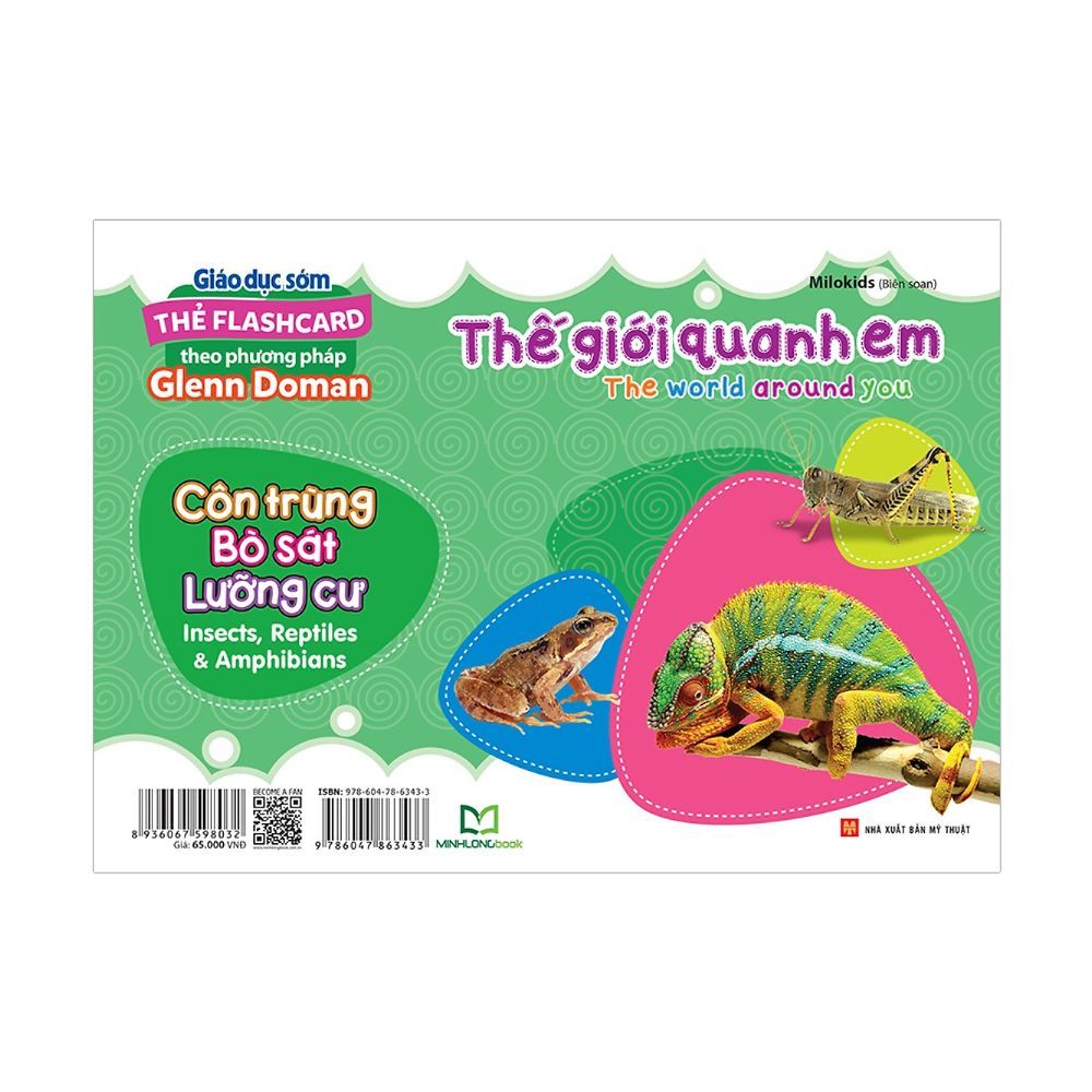  Thẻ Flashcard Theo Phương Pháp Glenn Doman - Thế Giới Quanh Em: Côn Trùng - Bò Sát - Lưỡng Cư 