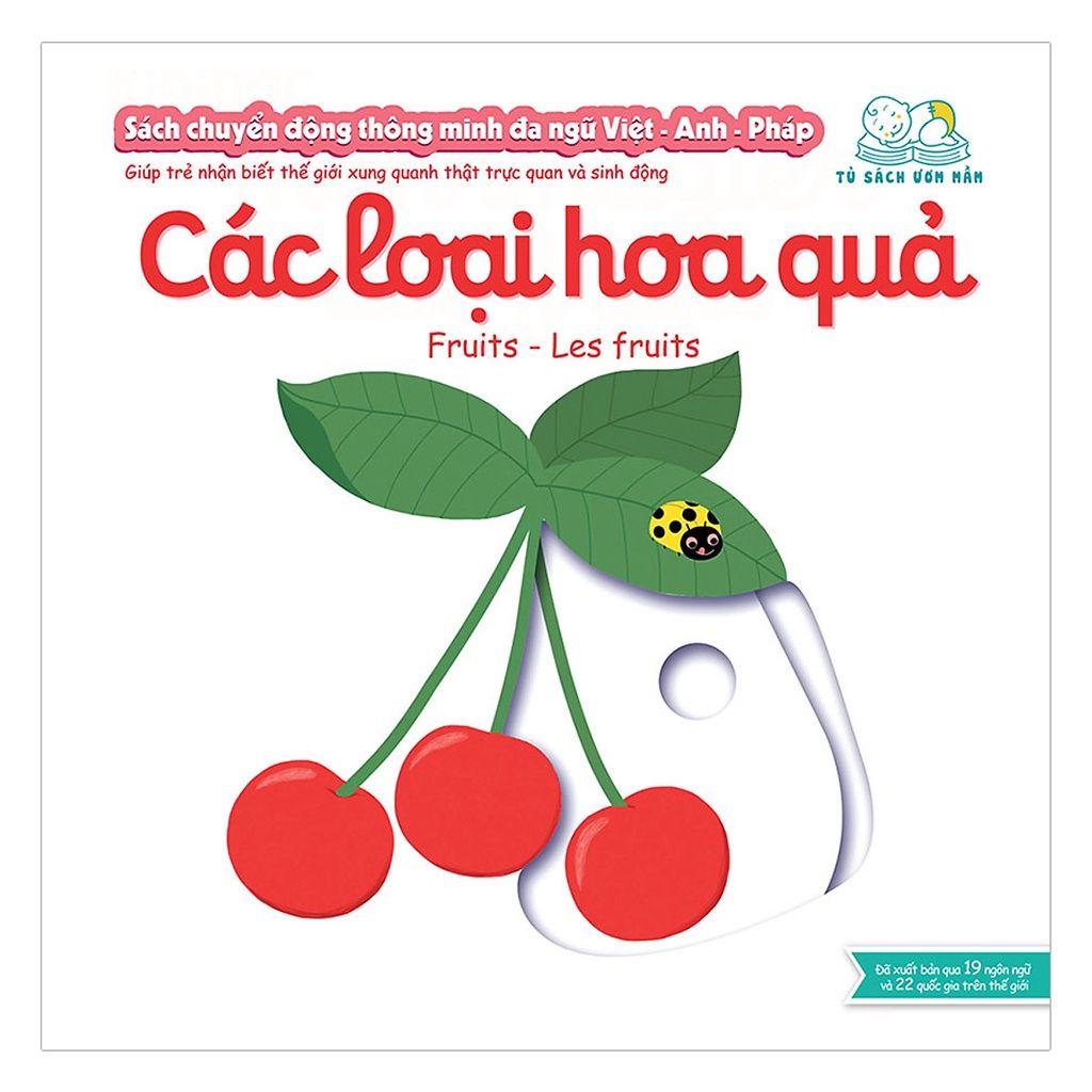  CĐTM Đa Ngữ Việt - Anh - Pháp - Các Loại Hoa Quả - Fruits - Les Fruits 