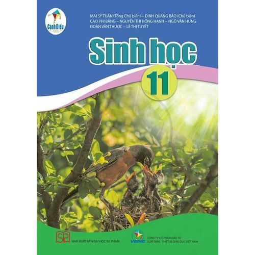  Sinh Học 11 - Cánh Diều 