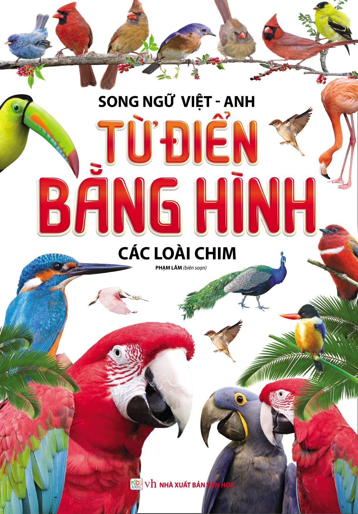  Từ Điển Bằng Hình - Các Loài Chim (Song Ngữ Anh - Việt) 