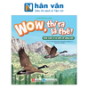  Wow, Thì Ra Là Thế! - Kiến Thức Ít Ai Biết Về Động Vật 