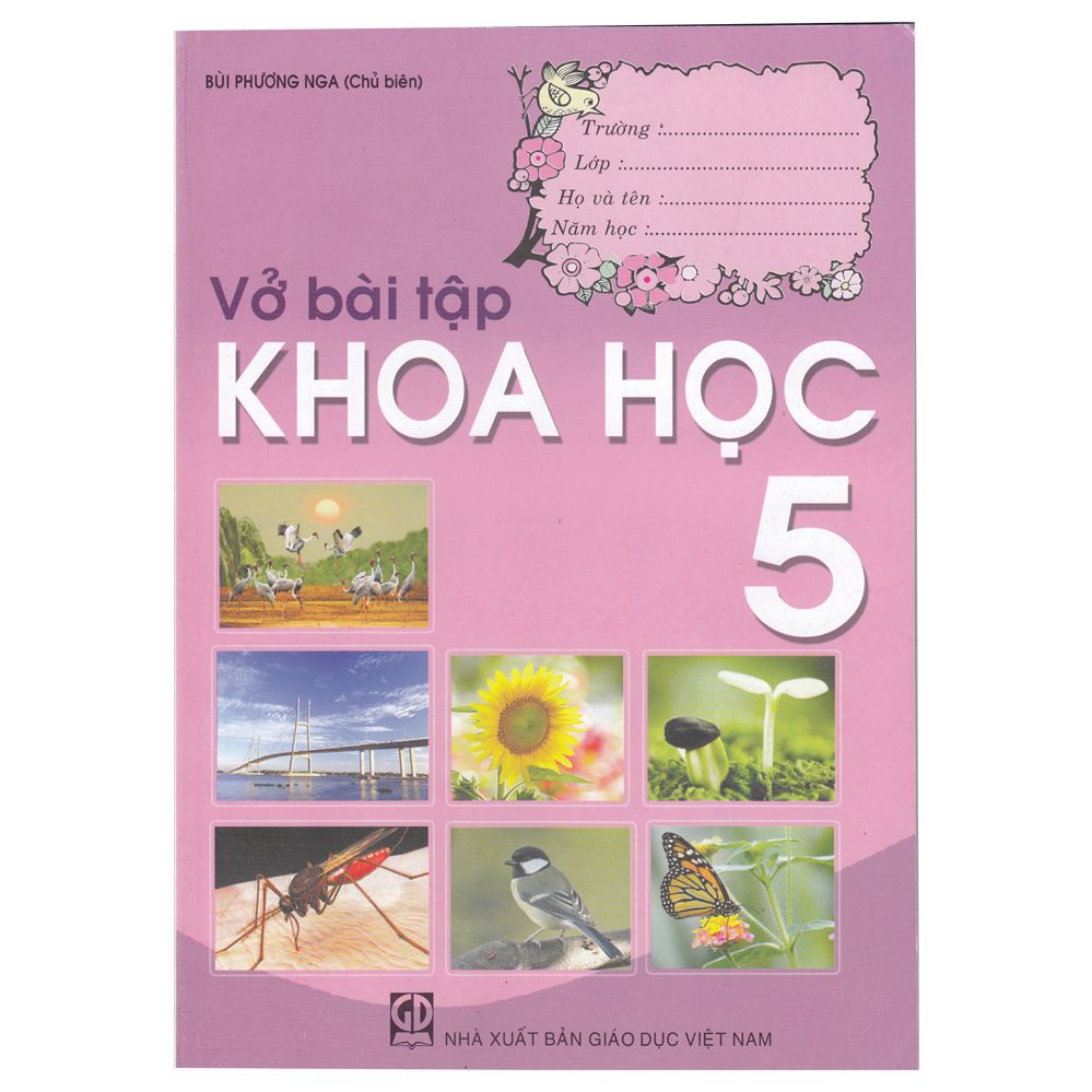  Vở Bài Tập Khoa Học 5 