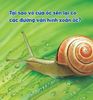  Wow, Thì Ra Là Thế! - Cơ Thể Của Động Vật 