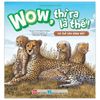  Wow, Thì Ra Là Thế! - Cơ Thể Của Động Vật 