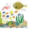  Thư Viện Từ Vựng Đầu Đời Cho Bé - Động Vật Dưới Biển - Under The Sea! 