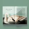  Sải Cánh Như Những Chú Chim - Những Bài Học Nhỏ Để Có Nguồn Năng Lượng Tích Cực Bất Tận 