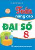  Toán Nâng Cao Đại Số 8 (Dùng Chung Cho Các Bộ SGK Hiện Hành) 