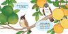  Thế Giới Trong Mắt Bé - Trái Cây Muôn Màu 