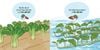  Thế Giới Trong Mắt Bé - Rau Củ Tươi Màu 