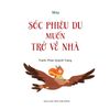  Sóc Phiêu Du Muốn Trở Về Nhà 