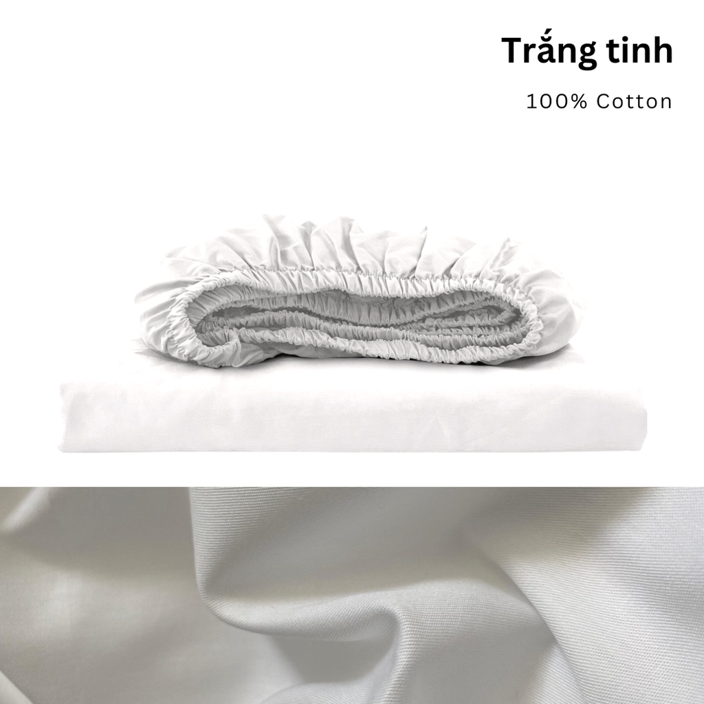 Drap giường Cotton Satin, màu [ Trắng tinh] À ƠI CONCEPT DGCT0023
