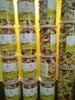 Bánh Đồng Tiền Mix Hạt Dinh Dưỡng ngon giòn không gây tăng cân