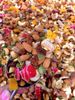 Granola Hạt Dinh Dưỡng Trái Cây Sấy Cao Cấp Siêu Giòn Thơm, Ngũ Cốc Hạt Dinh Dưỡng Ăn Vặt Ăn Kiêng Healthy & Yummy