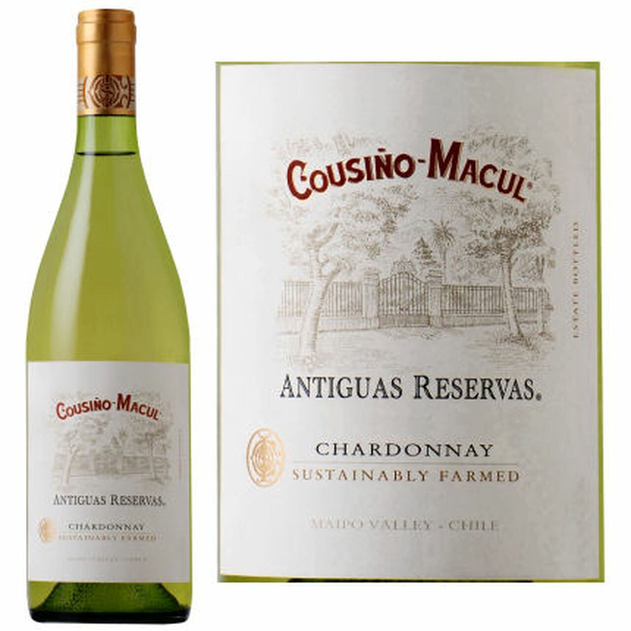  Cousino Macul Antiguas Reservas Chardonnay 