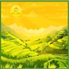Bộ hộp 4 Bánh Trung Thu cao cấp 