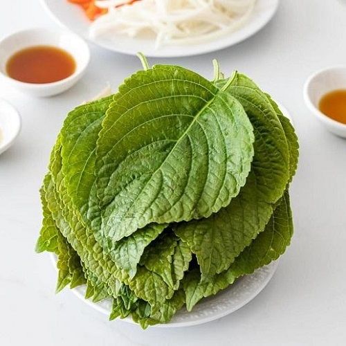  Lá mè (Perilla Korean Leaves) 