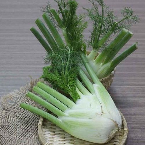  Củ hồi (Fennel) 