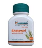  Viên Uống Himalaya Shatavari - Hỗ Trợ Vấn Đề Sức Khoẻ & Sinh Lý Nữ Giới 