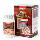  Thực phẩm bảo vệ sức khỏe Pure Cordyceps (60 viên) 