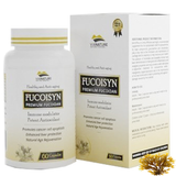  Thực phẩm bảo vệ sức khỏe Fucoisyn Premium Fucoidan (60 viên) 